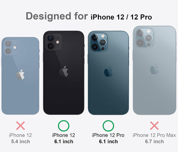iPhone 12 / iPhone 12 Pro  Back Cover Case | Ice Crystal - Black